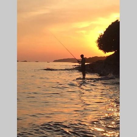Viva 1 Rovinj Daire Dış mekan fotoğraf