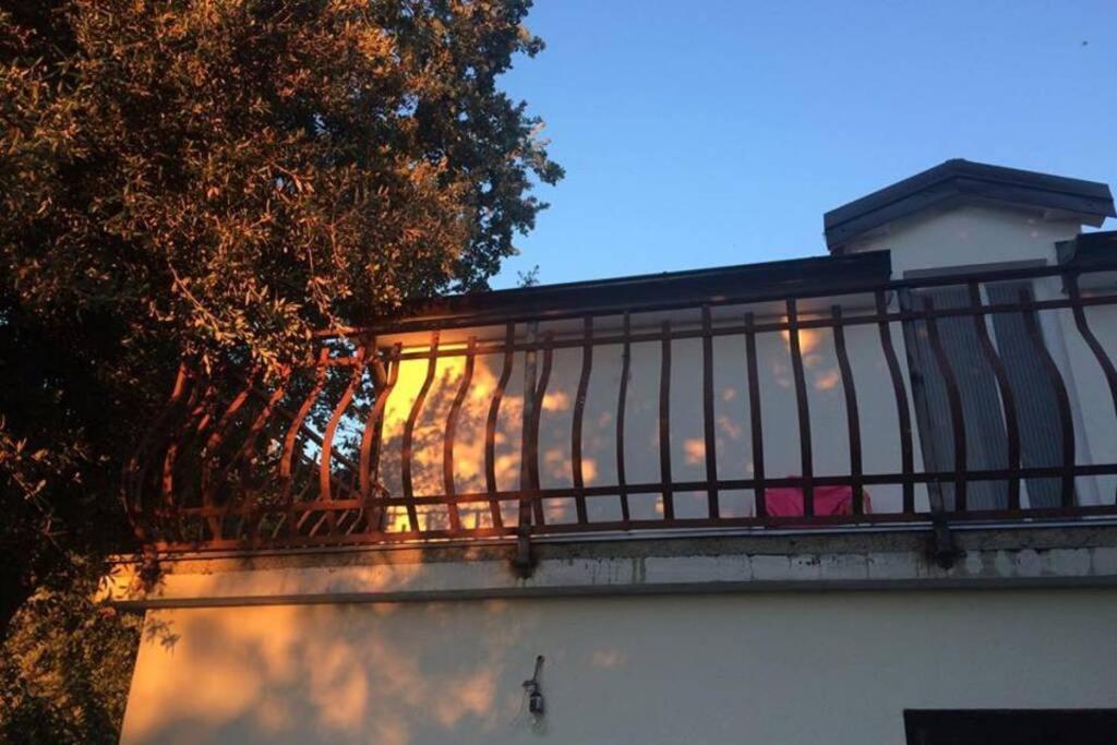 Viva 1 Rovinj Daire Dış mekan fotoğraf