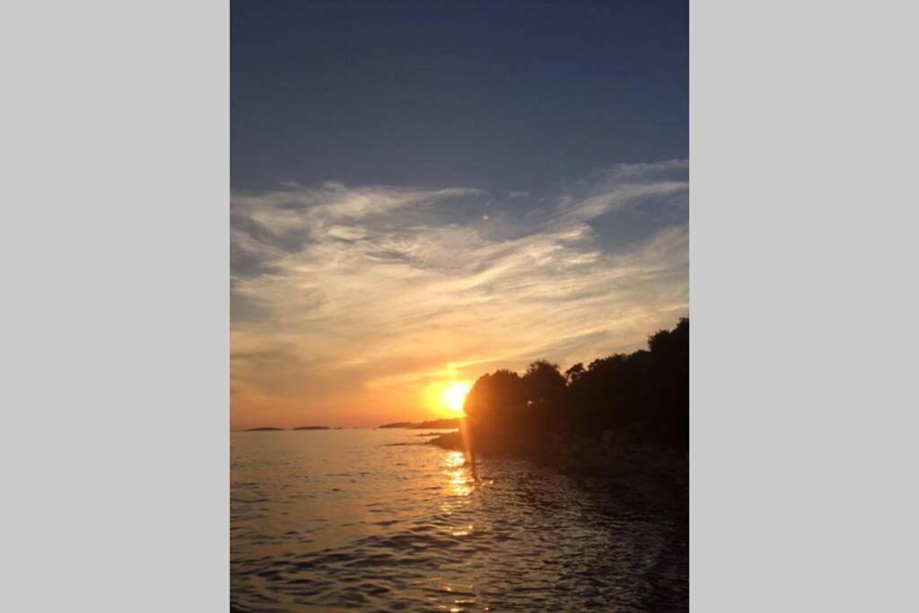 Viva 1 Rovinj Daire Dış mekan fotoğraf
